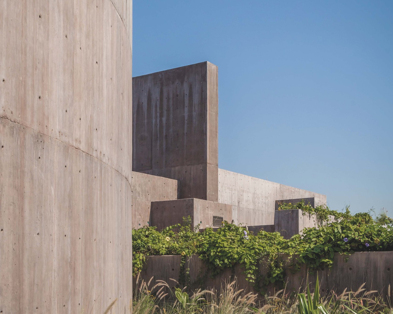 Tatiana Bilbao Estudio